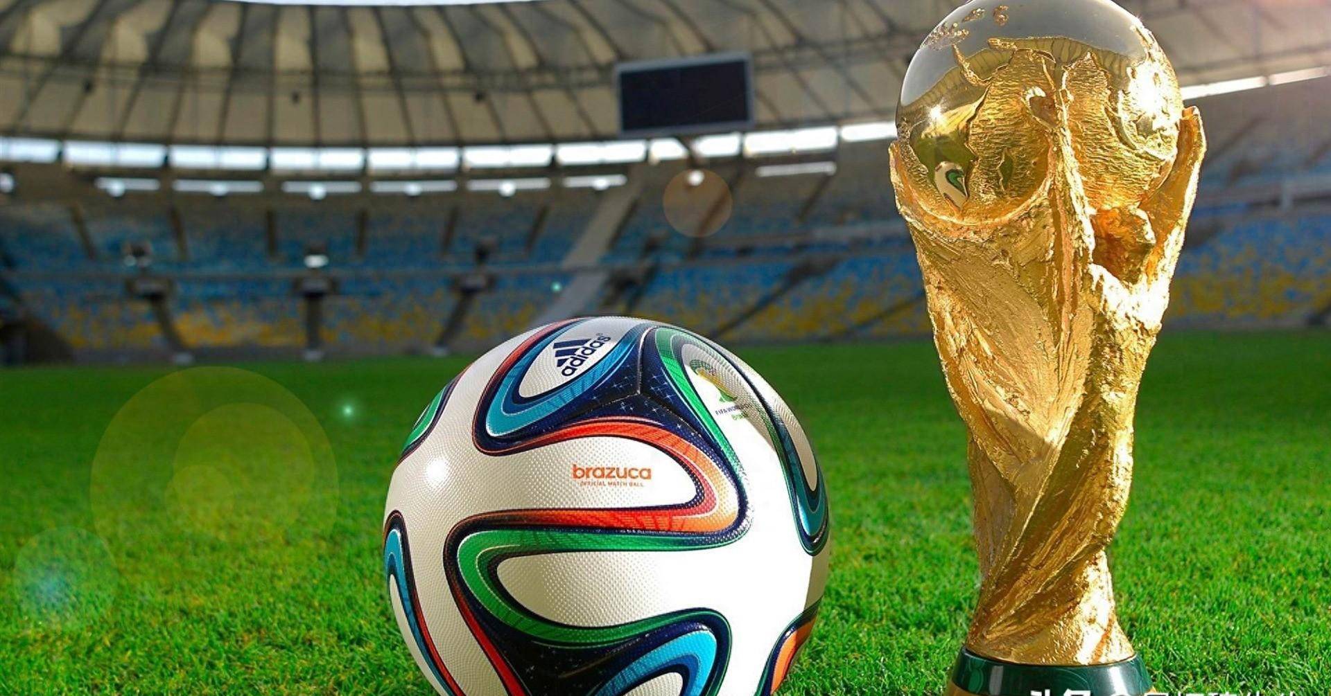 察应聘者的 察应聘者的